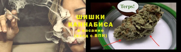 гидра Кукмор
