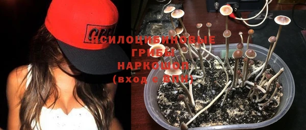 гидра Кукмор