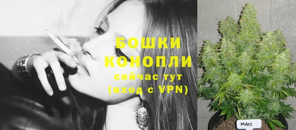 спайс Михайлов