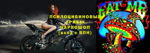 соль ск Лагань
