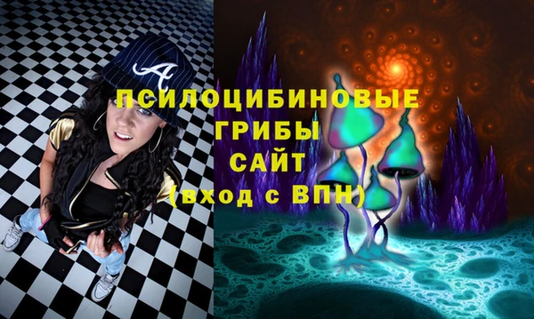 гидра Кукмор