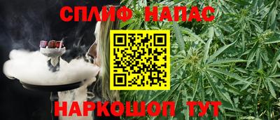 дурь Кингисепп