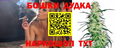 дурь Кингисепп