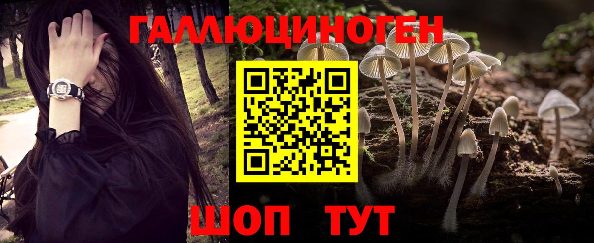 Псилоцибиновые грибы GOLDEN TEACHER Туапсе